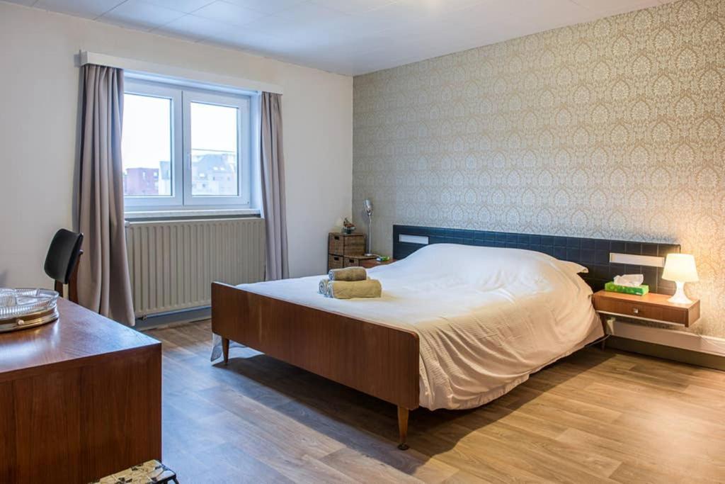 Vakantiewoning in Mol centrum met eigen bar CasaCuriosa Buitenkant foto